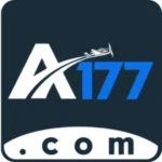 A177 Game
