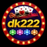 DK222 Game