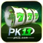 PK11 Game