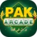 PAK Arcade Game